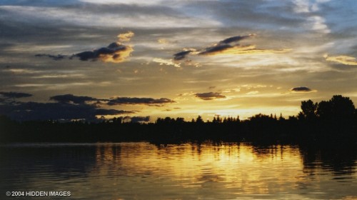 card image MUNI8345_20110906-35658_500.png