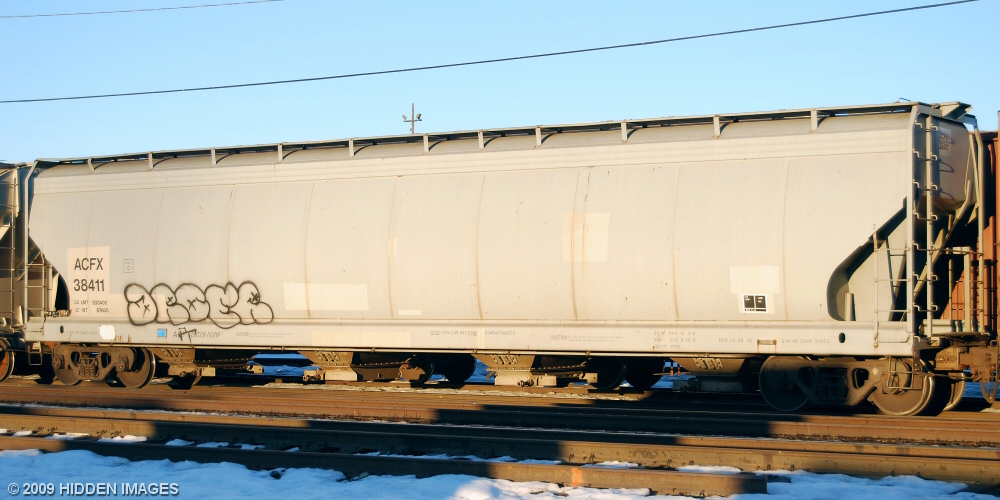 ACFX 38411 - Freight Car Photos - Hiddenimages.ca
